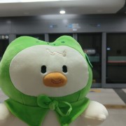 【干饭指南】王思斌《社会学教程》名词解释卡包封面
