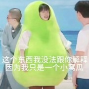 中内特殊症状＆治法总结卡包封面