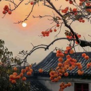 针灸卡包封面