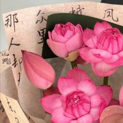 中内卡包封面
