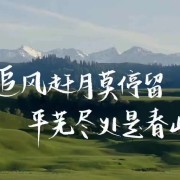 海大百科古诗词真题卡包封面
