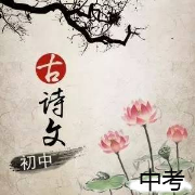 中考古诗词卡包封面