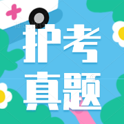 全国护士职业资格考试《专业实务》真题合集卡包封面