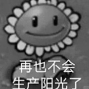 政策学卡包封面