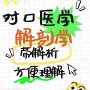 河北对口【解剖学】选择题库【带解析】卡包封面