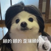 民法2025卡包封面