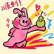 妇科知识点卡包封面