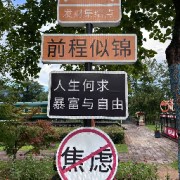中药考研重点卡包封面