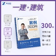 2025年一建案例300问（王玮）卡包封面