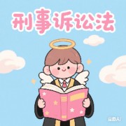 刑诉法学卡包封面