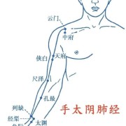 针灸歌诀卡包封面