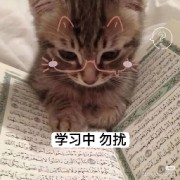 26法硕民法卡包封面