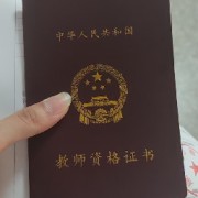 2025下中学教资最新科二辨析简答题卡包封面