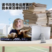 北京教招（特别适合朝阳区）卡包封面