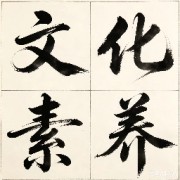 教师资格证科一【文化素养】知识点记忆卡片卡包封面