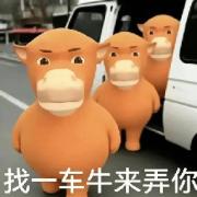 邪恶蓝书卡包封面