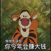 货币金融学卡包封面