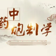 （新） 中药炮制学考试题库卡包封面