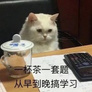 法制史卡包封面
