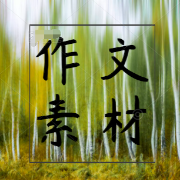 高考作文素材（合集）卡包封面