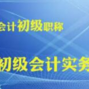 2022年初级会计职称《初级会计实务》考试题库（核心题版）卡包封面