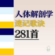 人体解剖学速记歌诀卡包封面
