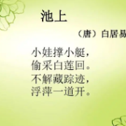 小学语文古诗类考试题库卡包封面