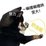 古代汉语繁简对照卡包封面