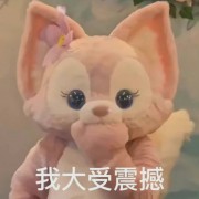 首都师范347卡包封面
