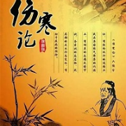 伤寒论条文卡包封面