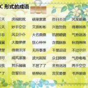 高分作文必备：成语分类大全卡包封面