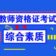 中学教师资证考试《综合素质》试题及答案解析卡包封面