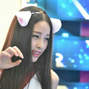 雅思绿宝书&例句卡包封面
